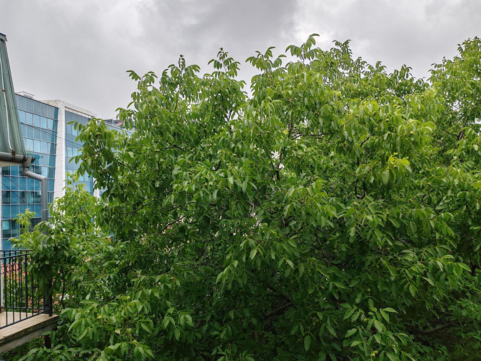 Sweet House Apartment Novi Sad Exterior foto